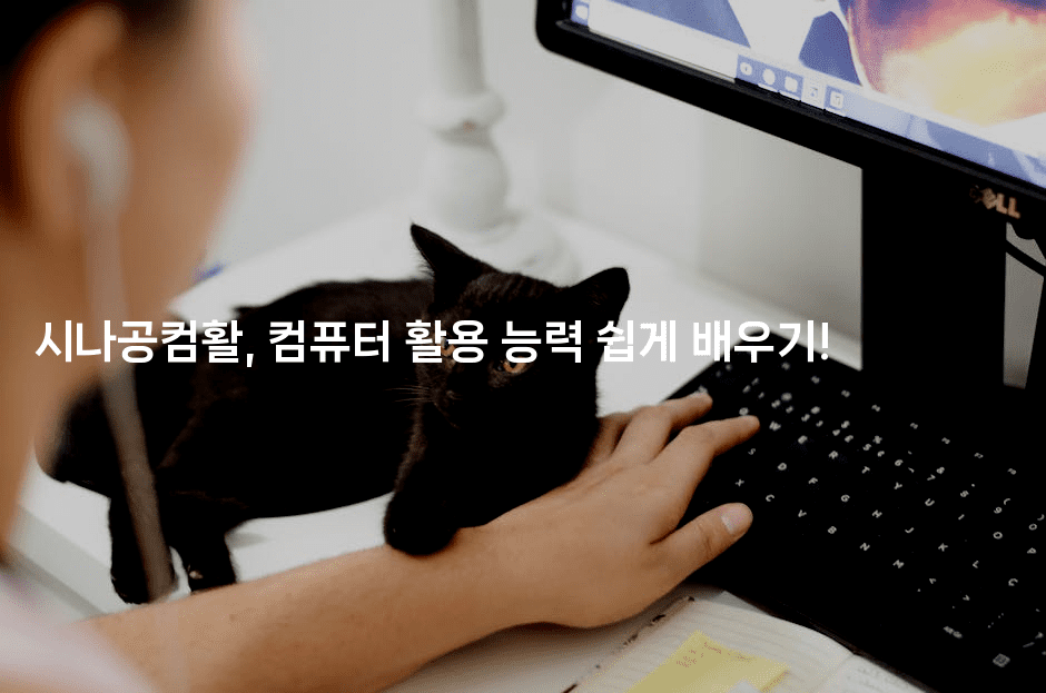 시나공컴활, 컴퓨터 활용 능력 쉽게 배우기!-법미니