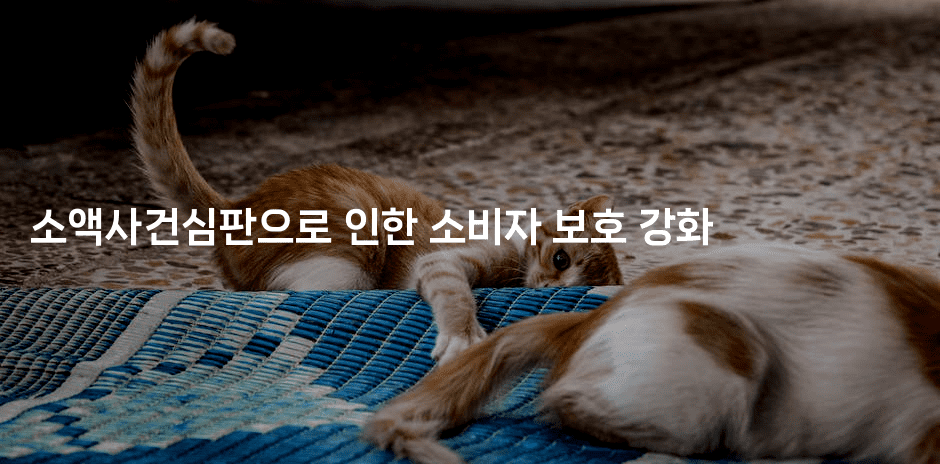 소액사건심판으로 인한 소비자 보호 강화2-법미니