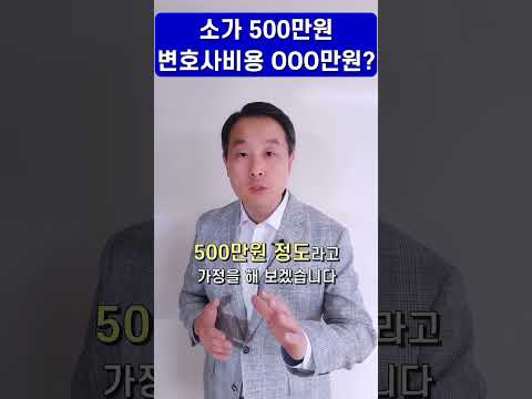 변호사  민사소송 – 소가 500만원인데 변호사 비용만 얼마라구요?? 감정에 휩쓸리지 말고 합리적으로 실익을 꼭 챙기세요.