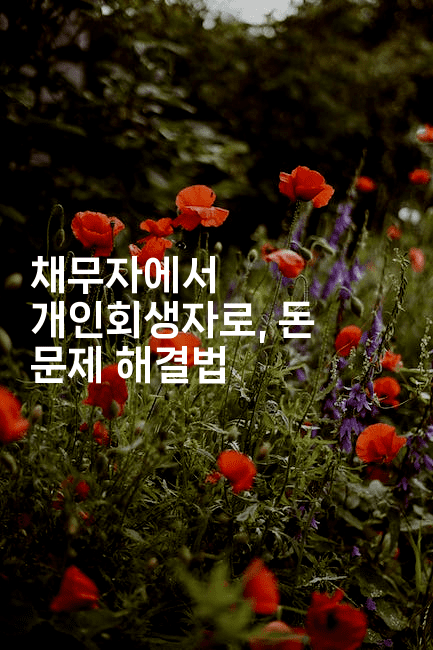 채무자에서 개인회생자로, 돈 문제 해결법-법미니