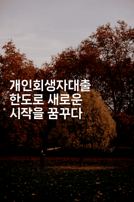 개인회생자대출 한도로 새로운 시작을 꿈꾸다-법미니