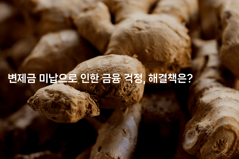 변제금 미납으로 인한 금융 걱정, 해결책은?