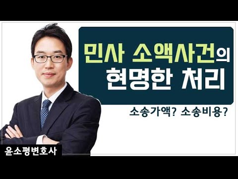 민사 소액사건의 현명한 처리