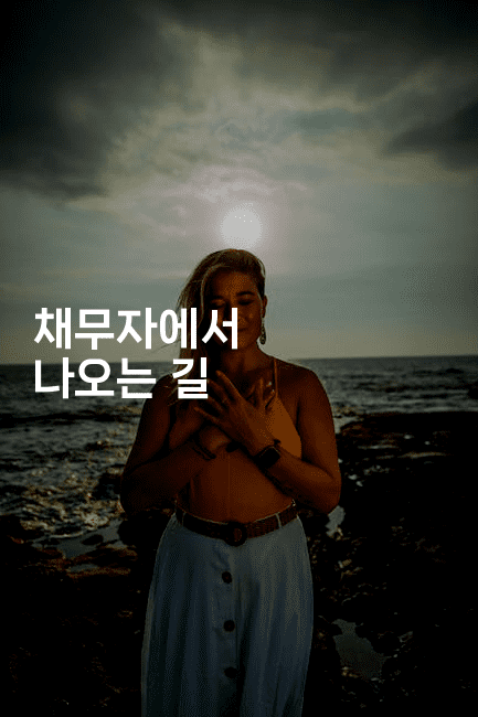 채무자에서 나오는 길-법미니