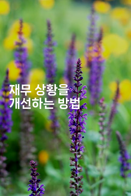 재무 상황을 개선하는 방법-법미니