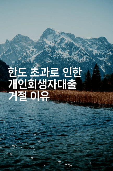 한도 초과로 인한 개인회생자대출 거절 이유-법미니