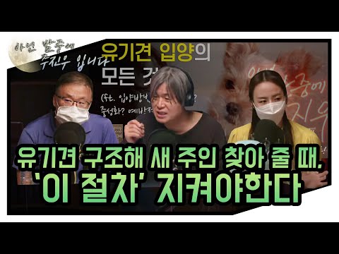 (아닌 밤중에 주진우) 필.소.굿.-생활법률편 (with.김필성,김솔하 변호사)