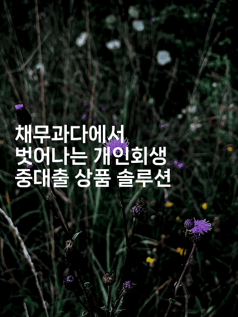 채무과다에서 벗어나는 개인회생 중대출 상품 솔루션-법미니