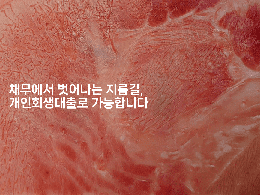 채무에서 벗어나는 지름길, 개인회생대출로 가능합니다-법미니