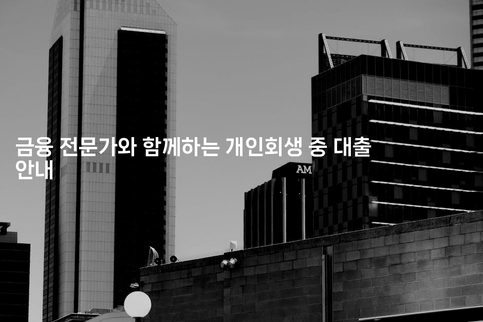 금융 전문가와 함께하는 개인회생 중 대출 안내-법미니