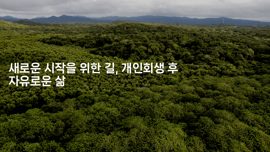 새로운 시작을 위한 길, 개인회생 후 자유로운 삶-법미니