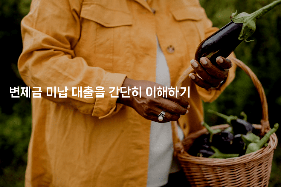 변제금 미납 대출을 간단히 이해하기-법미니