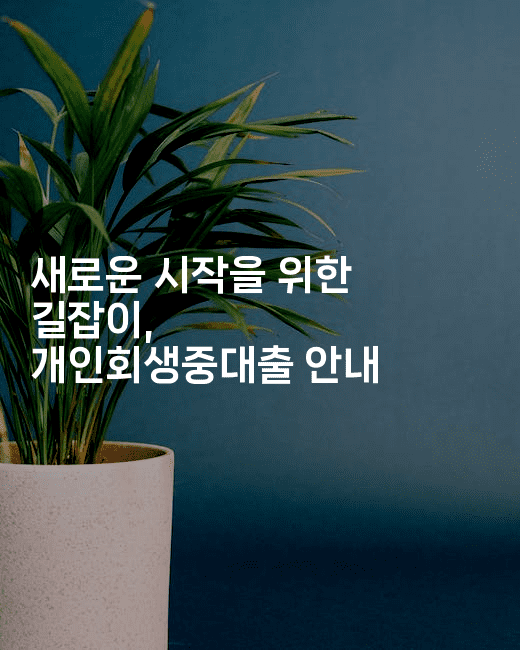 새로운 시작을 위한 길잡이, 개인회생중대출 안내-법미니