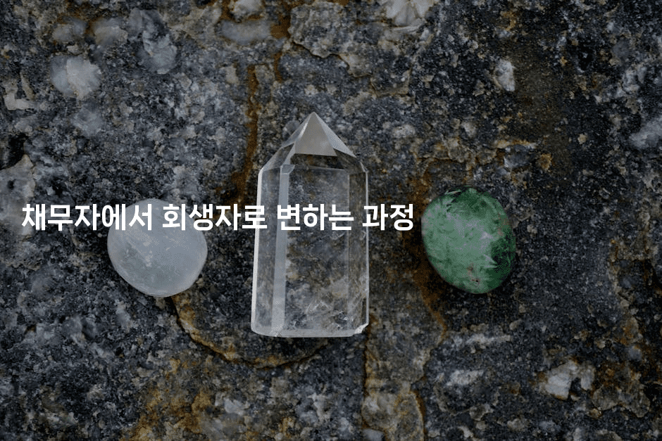 채무자에서 회생자로 변하는 과정-법미니