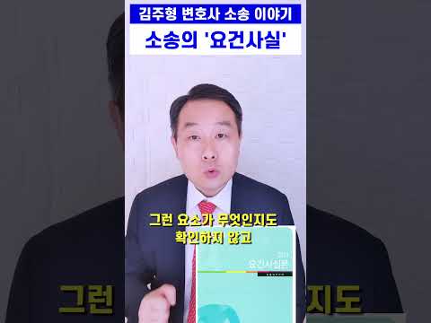 민사소송 요건사실 - 소송의 운명을 우연에 맡기지 않으려면 #변호사